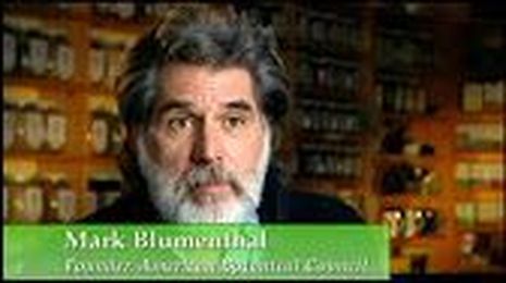 Herbal Insights on Healing Quest