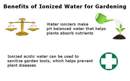 How to use ionized water for plants