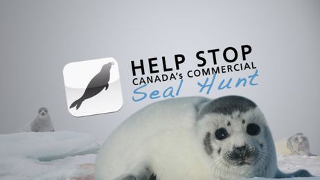 Get the App and Protect Seals