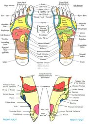 How Reflexology Can Help You Recover From Exercise