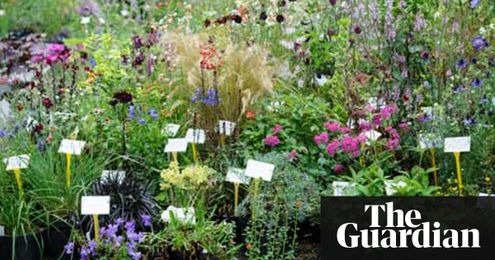 Gardens: get back to the nursery