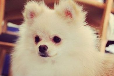 The 36 Kinds Of People On Instagram Who Will Make You Jealous