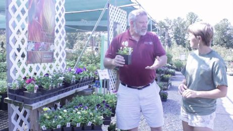 Frank from Plantworks Nursery