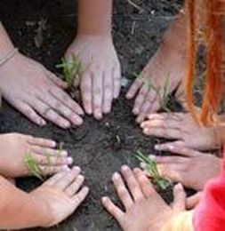Kids4Trees Launches Environmental Program