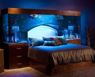 Aquarium Bed Lets you Sleep with the Fishes Every Night