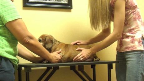 Chiropractic Care for Neurological Conditions