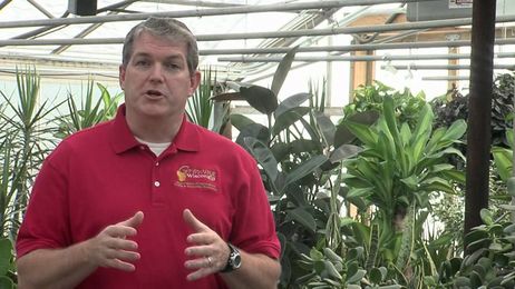 Fertilizer Licenses and Labeling