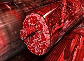 New Study On How Massage Heals Sore Muscles