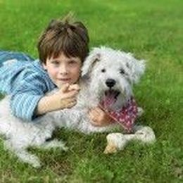 Guest Post: Treating Your Yard to Keep Your Pets Pest-Free