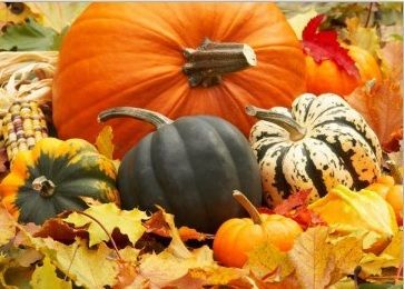 It’s Gutter Cleaning Time!