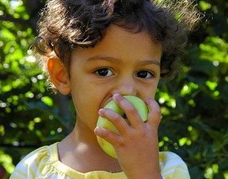 Best Pick-Your-Own Apple Spots In Rhode Island