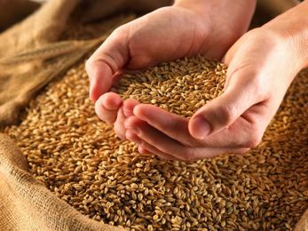 12 Ancient Grains You May Have Never Tried