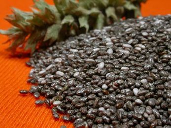The Benefits of Adding Chia to Your Diet