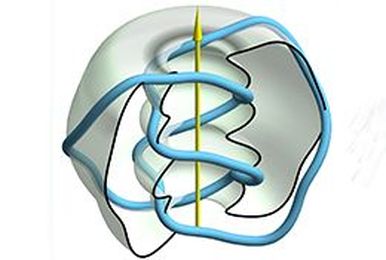 Beautiful Physics: Tying Knots In Light