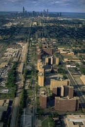 Trees Are a Matter of Life and Death