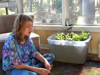 Student Project: Hydroponic Greenhouse