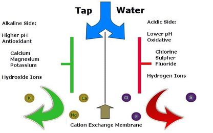 How is Kangen Water Made?