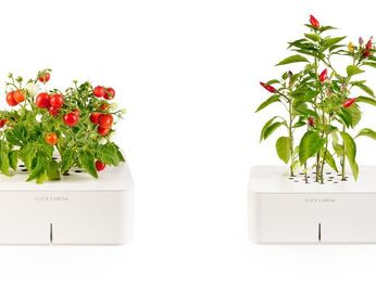 No green thumb needed for Click and Grow plants