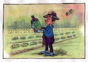 What Are the Pros and Cons of Pesticide Use?
