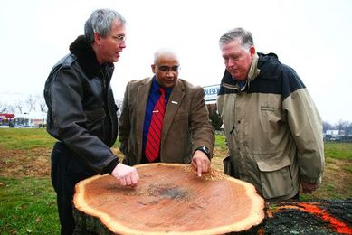 [PHOTO] Fallen Trees Create Learning Opportunity