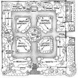 Planning A Vegetable Garden