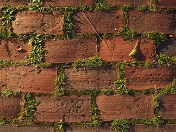 Maintaining Your Outdoor Brick and Stone 