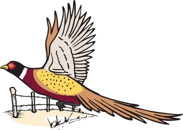 So, what to do with all that wild game?