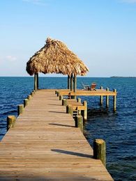 You Better Belize It Part II