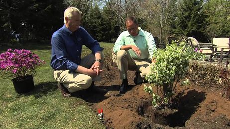 HouseSmarts "Garden Variety Problems" Episode 92