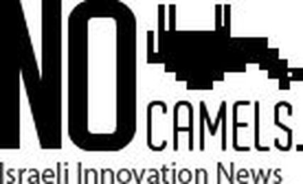 Olive Trees May Be The Answer To Desertification