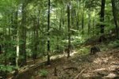 What Is ‘Good’ Habitat?