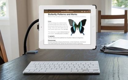 10 Creative Solutions for a More Productive Workspace