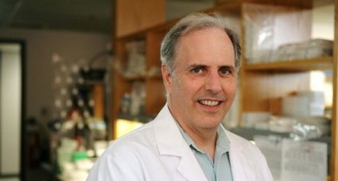Eye disorder’s genetic risk factors come into focus