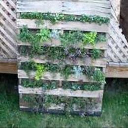 Accessible Gardens Seniors Can Enjoy Safely & Comfortably