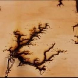 Electrified Plywood Displays Fractal Patterns