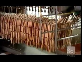 How It's Made Hot Dogs