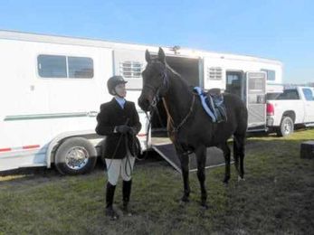 Drive Safely with Your Horse Trailer