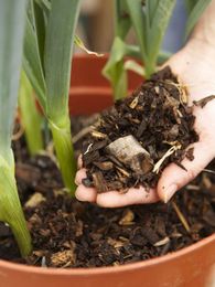 Conserving Water: How to Water Garden Pots Less