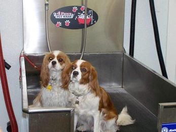 Good Sam Names Top Pet-Friendly RV Parks