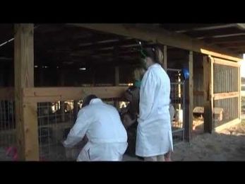 What is Agricultural Education? Aliens Visit a High School Agriculture Program