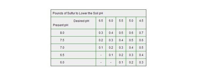 What Is Soil pH And How To Test And Adjust It