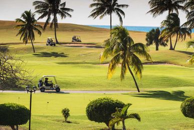 Things You Should Never Do in a Golf Cart, and the Rules of the Road