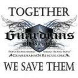 Animal Therapy 101: What It Is and How It Helps Veterans