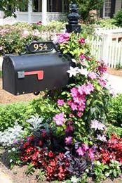 Create a Mailbox Garden with plants from Holcomb Garden Center!