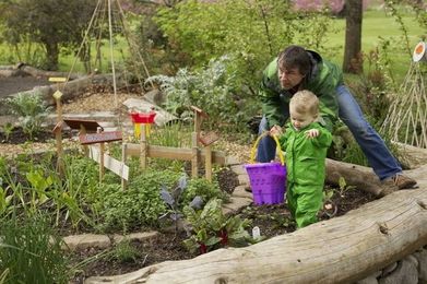 Pediatrics group cautions against pesticide use in homes and gardens