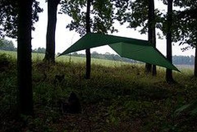 How to Put up a Tarp