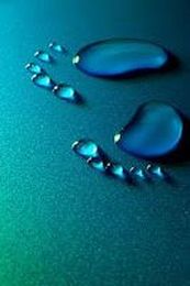 Zero WATER Waste: more than a goal, a necessity