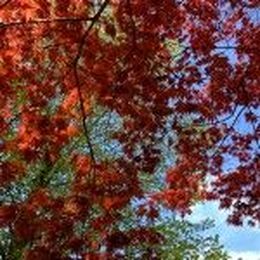 Martial arts for self-defense is about ending violence