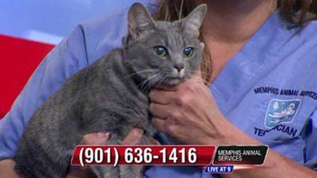 Meet Pearl!  She’s Ready For Your Home!