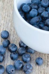 Local Organic Blueberries from Fairfield Farms!